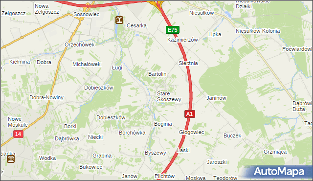 mapa Stare Skoszewy, Stare Skoszewy na mapie Targeo