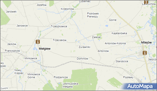 mapa Żurawniki gmina Mełgiew, Żurawniki gmina Mełgiew na mapie Targeo