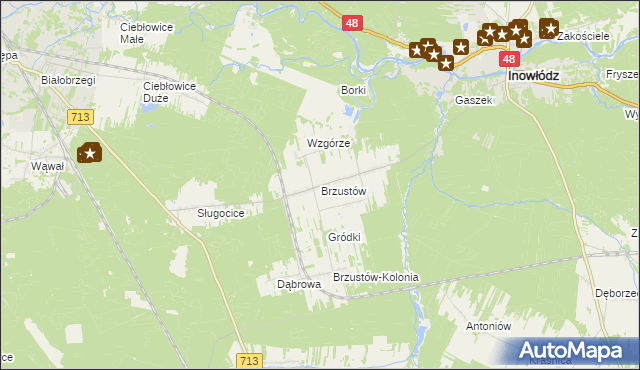 mapa Brzustów gmina Inowłódz, Brzustów gmina Inowłódz na mapie Targeo