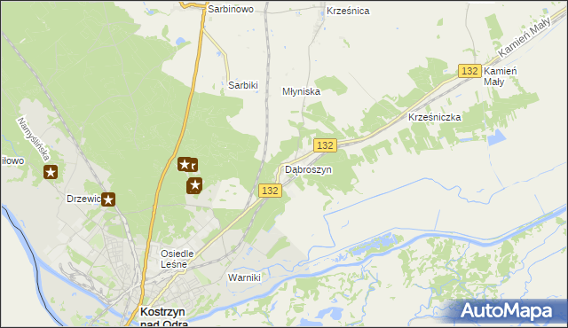 mapa Dąbroszyn gmina Witnica, Dąbroszyn gmina Witnica na mapie Targeo