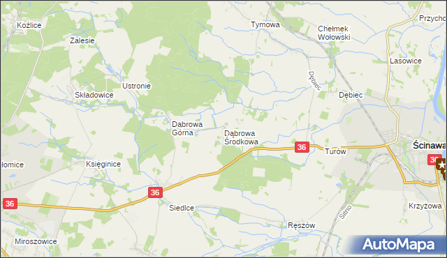 mapa Dąbrowa Środkowa, Dąbrowa Środkowa na mapie Targeo