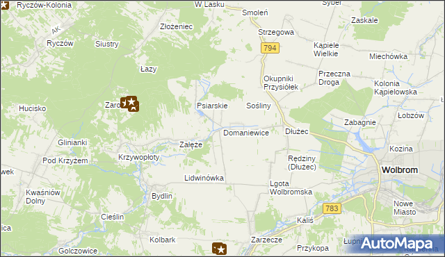 mapa Domaniewice gmina Wolbrom, Domaniewice gmina Wolbrom na mapie Targeo