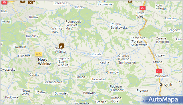 mapa Kobyle gmina Nowy Wiśnicz, Kobyle gmina Nowy Wiśnicz na mapie Targeo