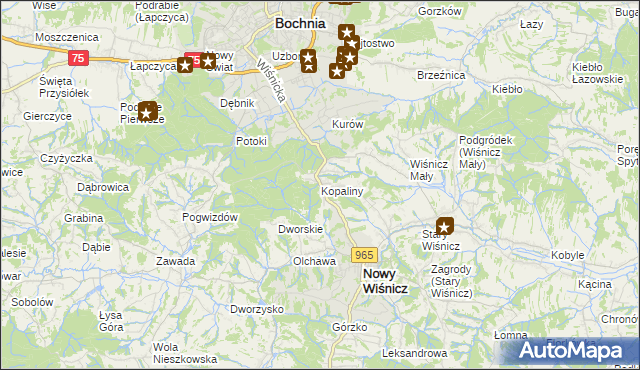 mapa Kopaliny gmina Nowy Wiśnicz, Kopaliny gmina Nowy Wiśnicz na mapie Targeo