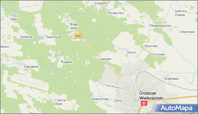 mapa Lasówki gmina Grodzisk Wielkopolski, Lasówki gmina Grodzisk Wielkopolski na mapie Targeo