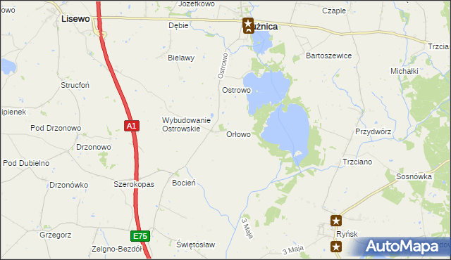 mapa Orłowo gmina Płużnica, Orłowo gmina Płużnica na mapie Targeo