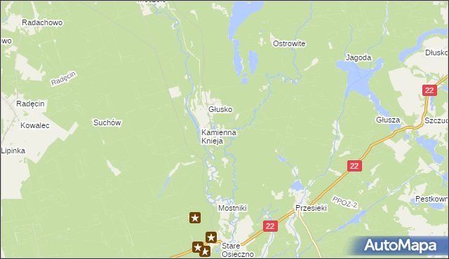 mapa Podszkle gmina Dobiegniew, Podszkle gmina Dobiegniew na mapie Targeo