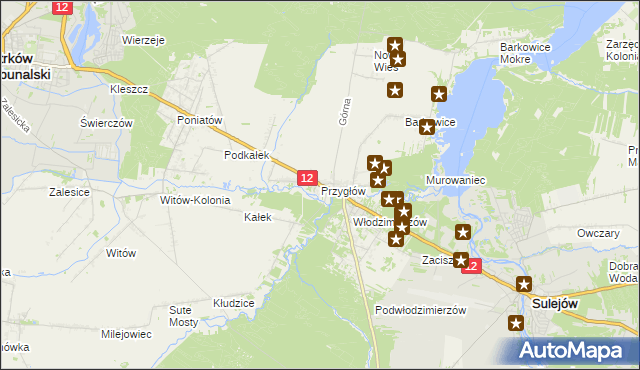 mapa Przygłów, Przygłów na mapie Targeo