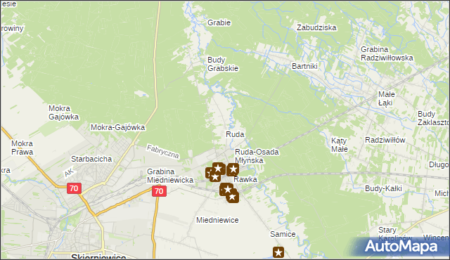 mapa Ruda gmina Skierniewice, Ruda gmina Skierniewice na mapie Targeo