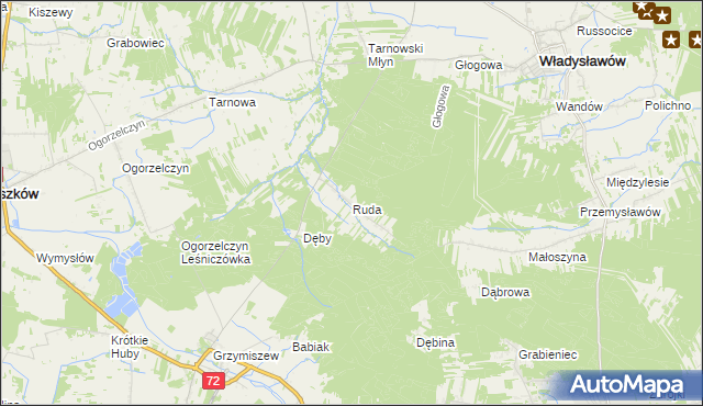 mapa Ruda gmina Tuliszków, Ruda gmina Tuliszków na mapie Targeo