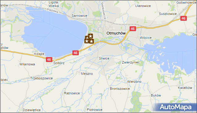 mapa Śliwice gmina Otmuchów, Śliwice gmina Otmuchów na mapie Targeo