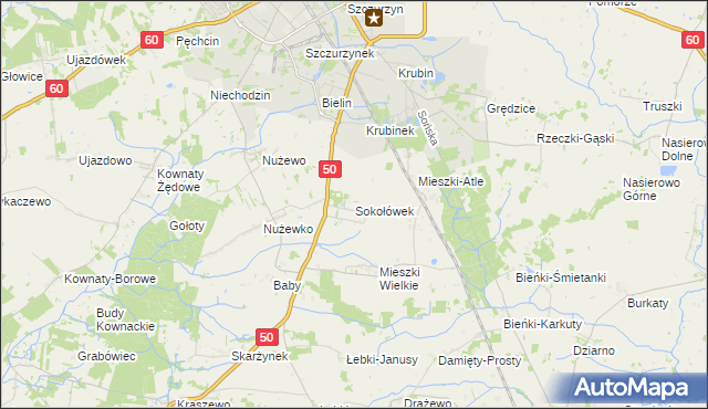 mapa Sokołówek gmina Ciechanów, Sokołówek gmina Ciechanów na mapie Targeo