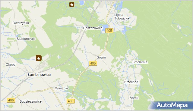 mapa Sowin gmina Łambinowice, Sowin gmina Łambinowice na mapie Targeo