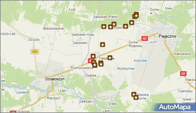 mapa Trębaczew gmina Działoszyn, Trębaczew gmina Działoszyn na mapie Targeo