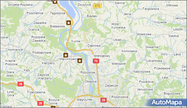 mapa Wielogłowy gmina Chełmiec, Wielogłowy gmina Chełmiec na mapie Targeo