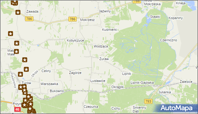 mapa Żuraw gmina Janów, Żuraw gmina Janów na mapie Targeo