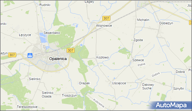 mapa Kozłowo gmina Opalenica, Kozłowo gmina Opalenica na mapie Targeo