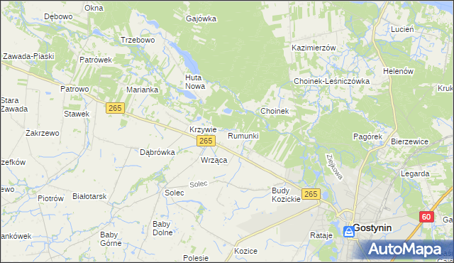 mapa Rumunki gmina Gostynin, Rumunki gmina Gostynin na mapie Targeo