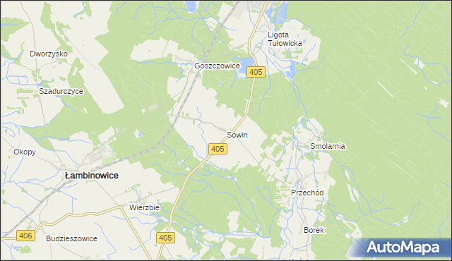 mapa Sowin gmina Łambinowice, Sowin gmina Łambinowice na mapie Targeo