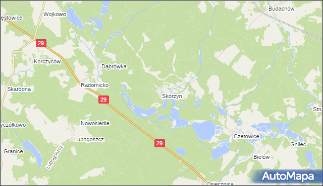 mapa Skórzyn gmina Maszewo, Skórzyn gmina Maszewo na mapie Targeo