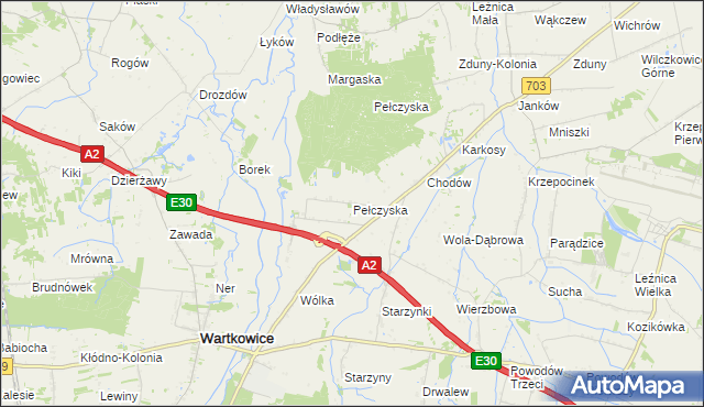 mapa Pełczyska gmina Wartkowice, Pełczyska gmina Wartkowice na mapie Targeo