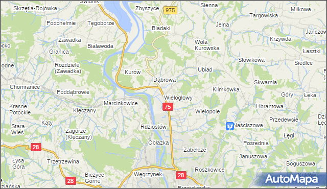 mapa Wielogłowy gmina Chełmiec, Wielogłowy gmina Chełmiec na mapie Targeo