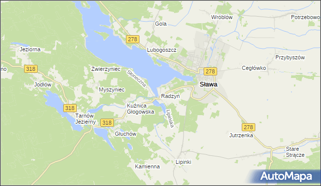 mapa Radzyń gmina Sława, Radzyń gmina Sława na mapie Targeo