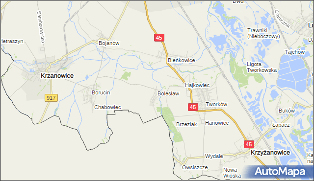 mapa Bolesław gmina Krzyżanowice, Bolesław gmina Krzyżanowice na mapie Targeo