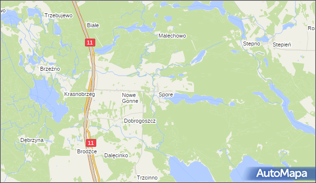 mapa Spore, Spore na mapie Targeo