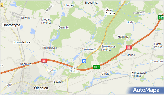 mapa Sokołowice gmina Oleśnica, Sokołowice gmina Oleśnica na mapie Targeo