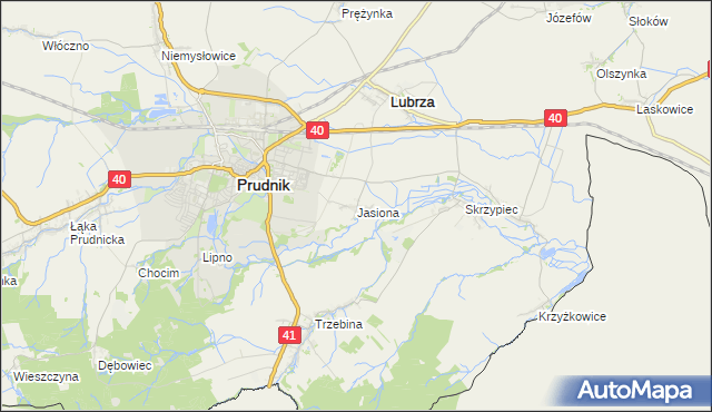 mapa Jasiona gmina Lubrza, Jasiona gmina Lubrza na mapie Targeo