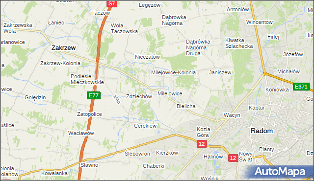 mapa Milejowice gmina Zakrzew, Milejowice gmina Zakrzew na mapie Targeo