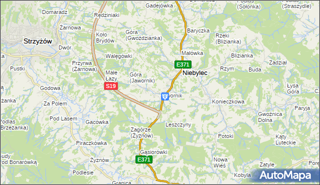 mapa Jawornik gmina Niebylec, Jawornik gmina Niebylec na mapie Targeo