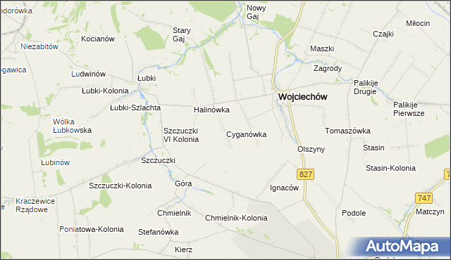 mapa Cyganówka gmina Wojciechów, Cyganówka gmina Wojciechów na mapie Targeo