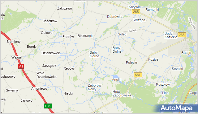 mapa Rybne gmina Gostynin, Rybne gmina Gostynin na mapie Targeo