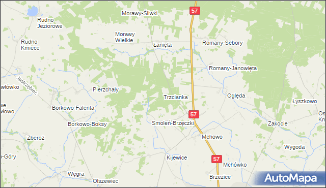 mapa Trzcianka gmina Przasnysz, Trzcianka gmina Przasnysz na mapie Targeo