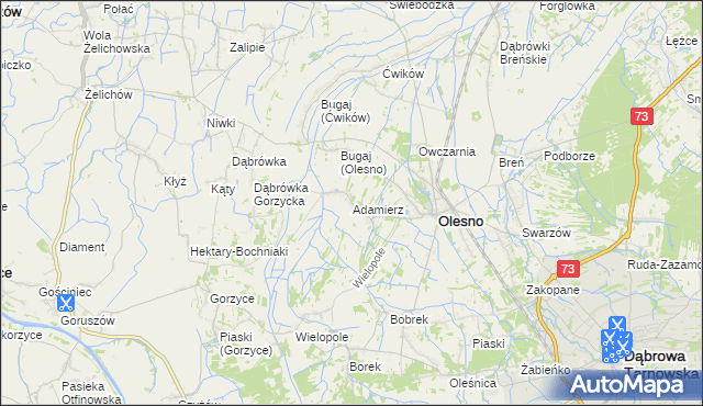 mapa Adamierz gmina Olesno, Adamierz gmina Olesno na mapie Targeo