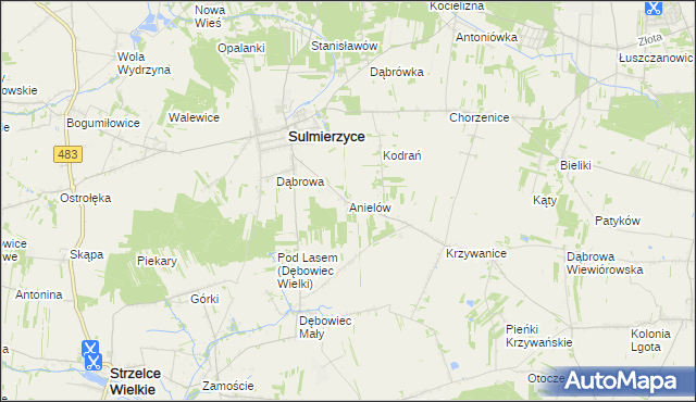 mapa Anielów gmina Sulmierzyce, Anielów gmina Sulmierzyce na mapie Targeo