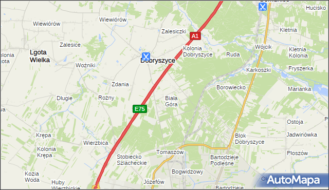 mapa Biała Góra gmina Dobryszyce, Biała Góra gmina Dobryszyce na mapie Targeo