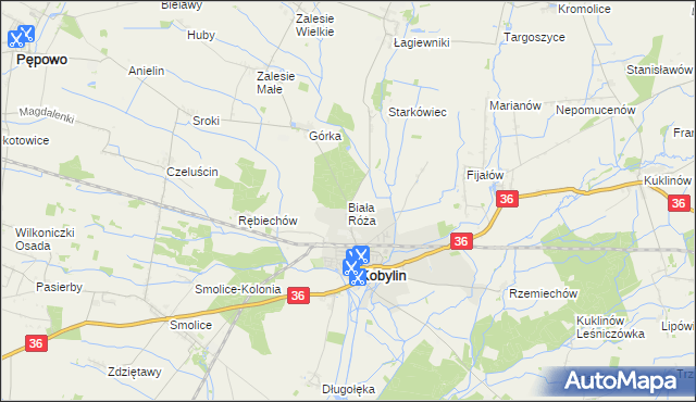 mapa Biała Róża gmina Kobylin, Biała Róża gmina Kobylin na mapie Targeo