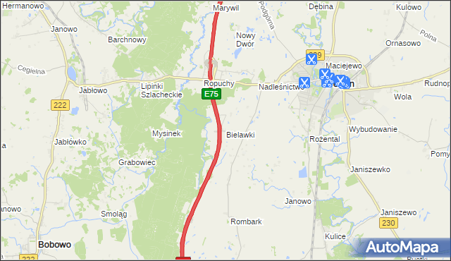 mapa Bielawki gmina Pelplin, Bielawki gmina Pelplin na mapie Targeo