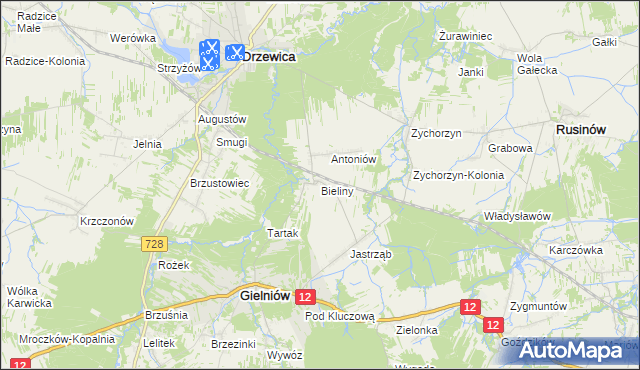 mapa Bieliny gmina Gielniów, Bieliny gmina Gielniów na mapie Targeo