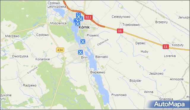 mapa Biernatki gmina Kórnik, Biernatki gmina Kórnik na mapie Targeo