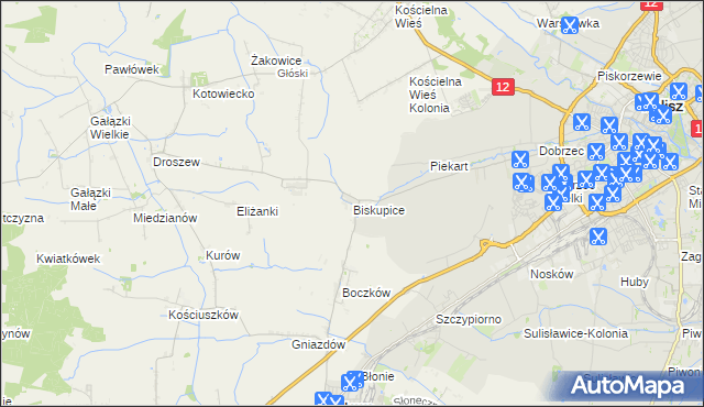 mapa Biskupice gmina Nowe Skalmierzyce, Biskupice gmina Nowe Skalmierzyce na mapie Targeo