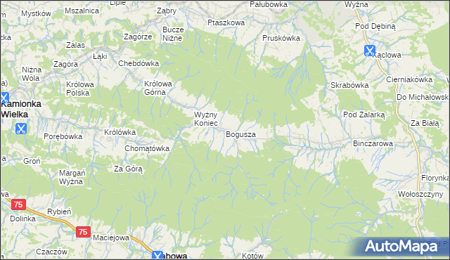 mapa Bogusza, Bogusza na mapie Targeo