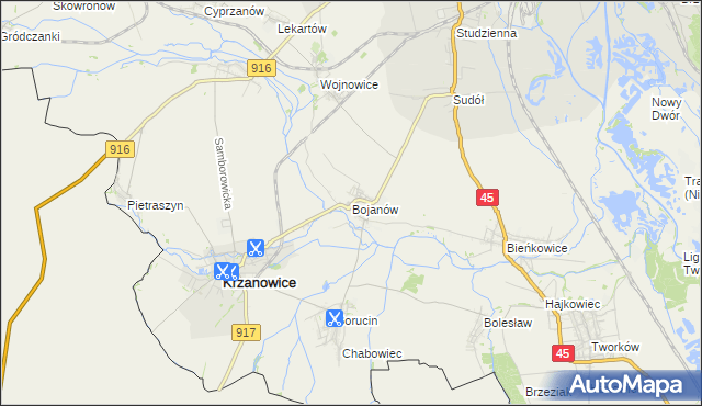 mapa Bojanów gmina Krzanowice, Bojanów gmina Krzanowice na mapie Targeo