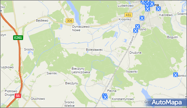 mapa Borkowice gmina Mosina, Borkowice gmina Mosina na mapie Targeo