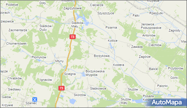 mapa Borzykowa gmina Chmielnik, Borzykowa gmina Chmielnik na mapie Targeo
