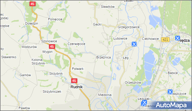 mapa Brzeźnica gmina Rudnik, Brzeźnica gmina Rudnik na mapie Targeo