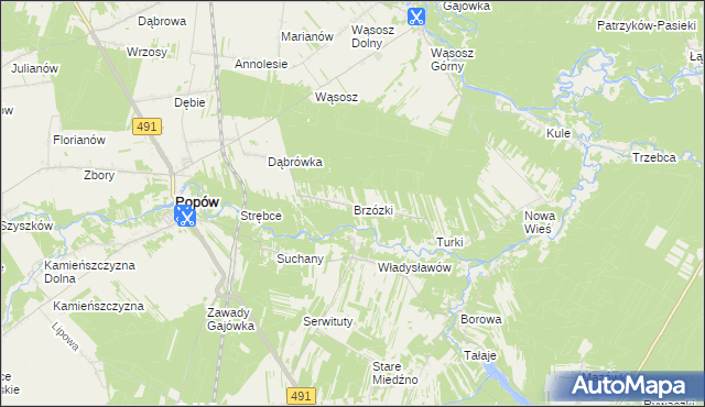 mapa Brzózki gmina Popów, Brzózki gmina Popów na mapie Targeo